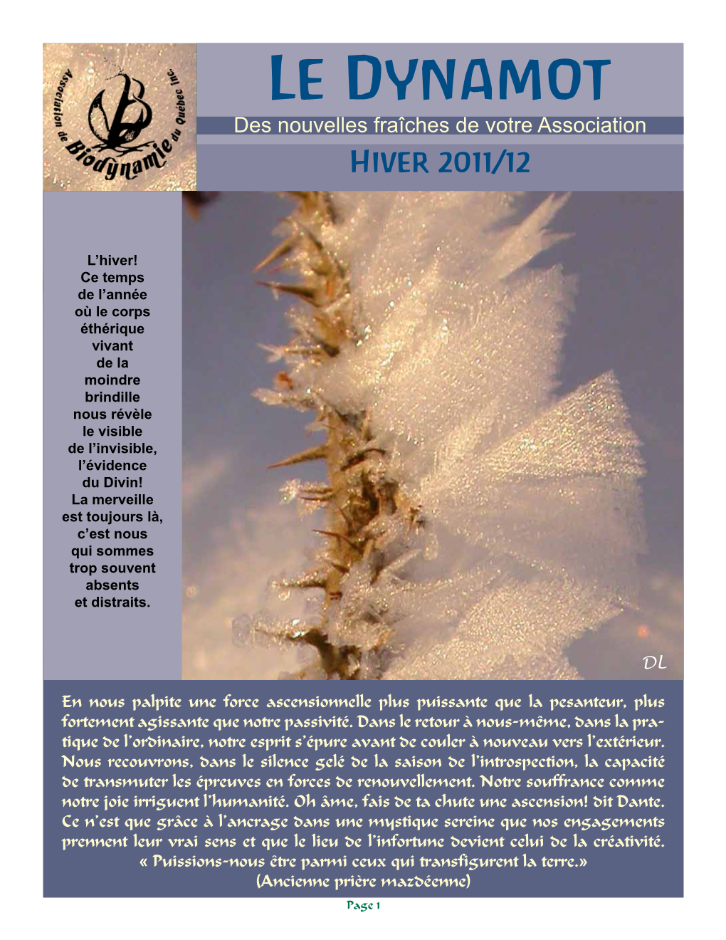 Le Dynamot Des Nouvelles Fraîches De Votre Association Hiver 2011/12