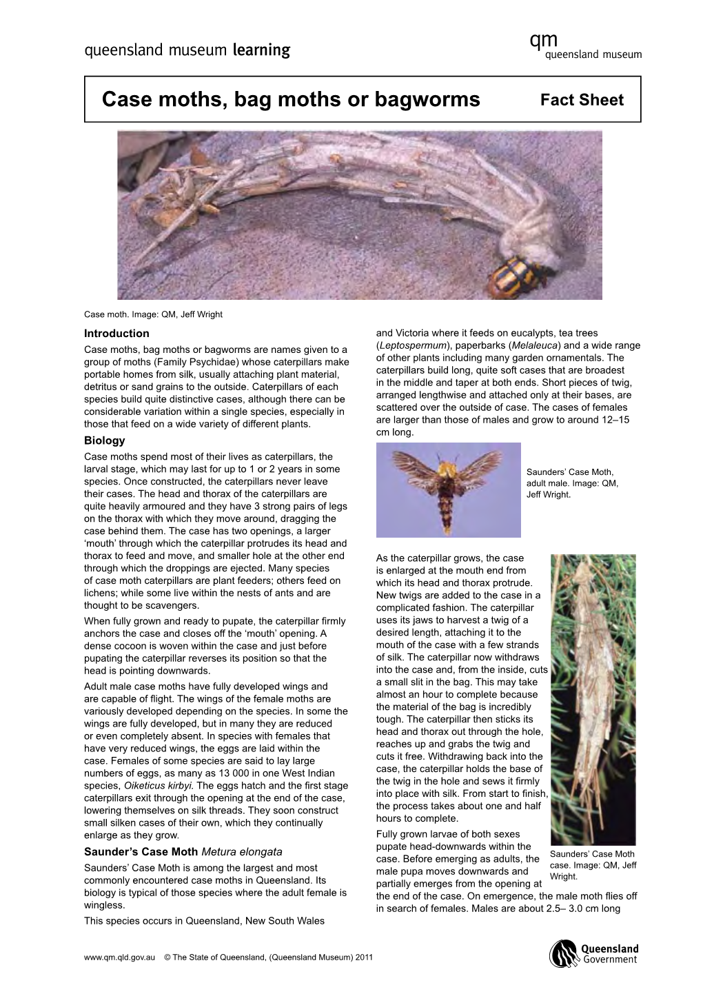 Case Moths, Bag Moths Or Bagworms Fact Sheet