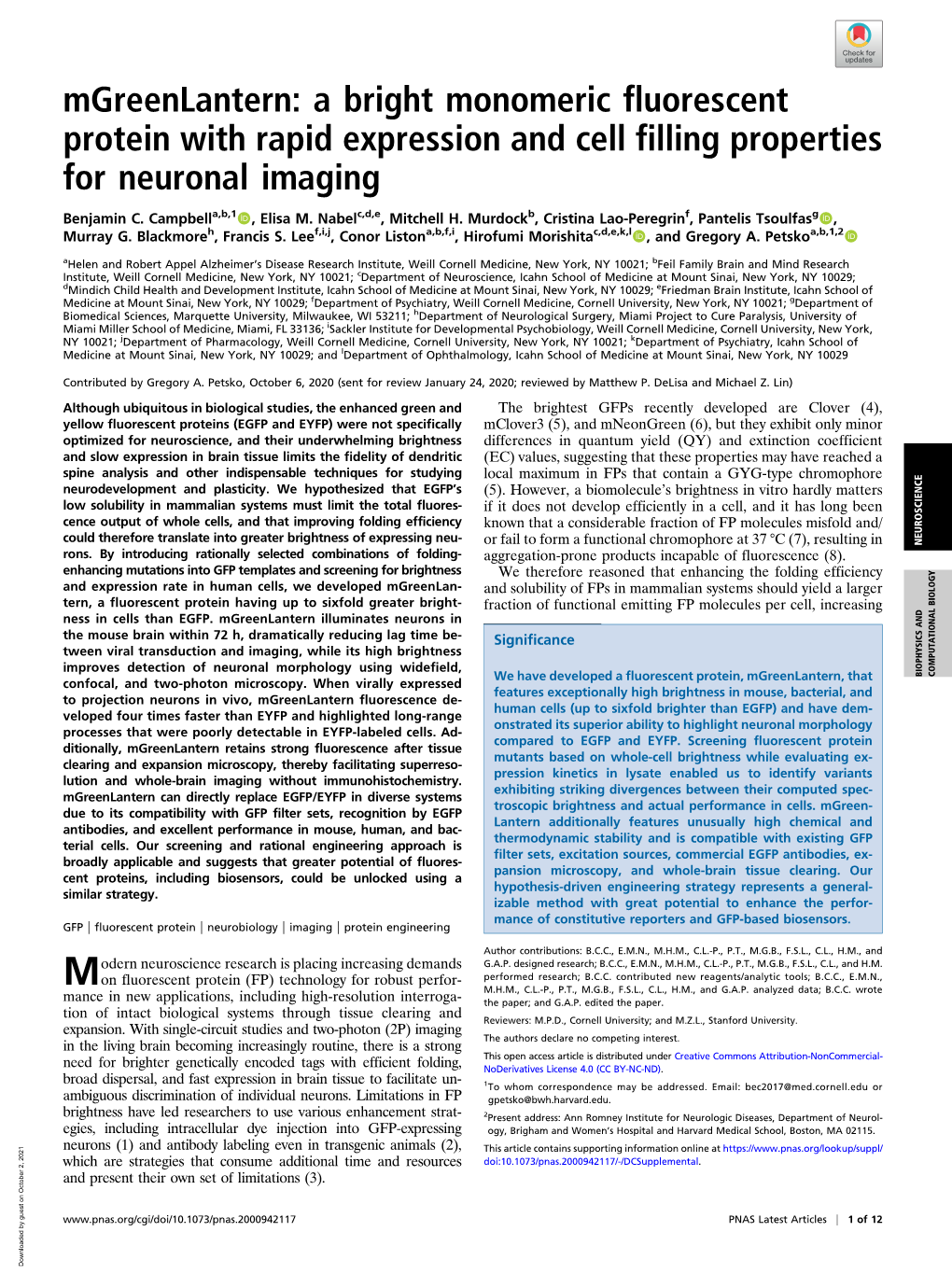 Mgreenlantern: a Bright Monomeric Fluorescent Protein with Rapid Expression and Cell Filling Properties for Neuronal Imaging