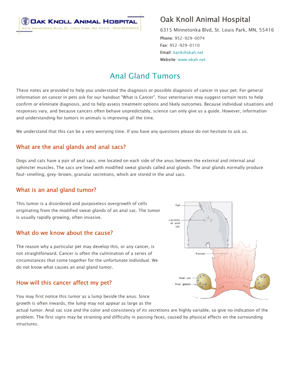 Anal Gland Tumors