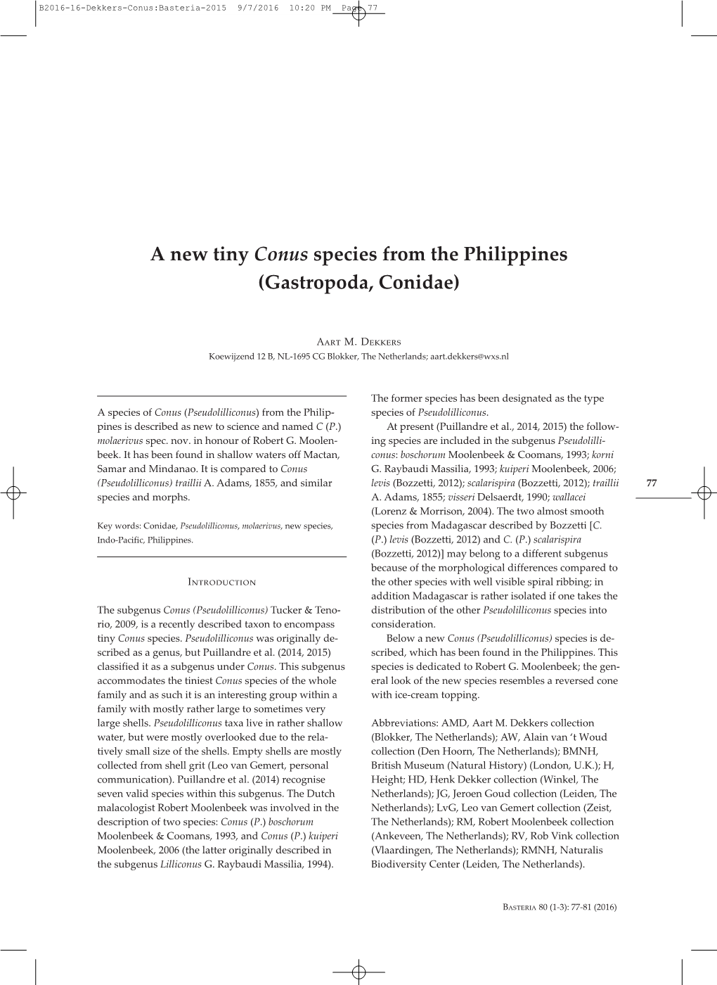 A New Tiny Conus Species from the Philippines (Gastropoda, Conidae)