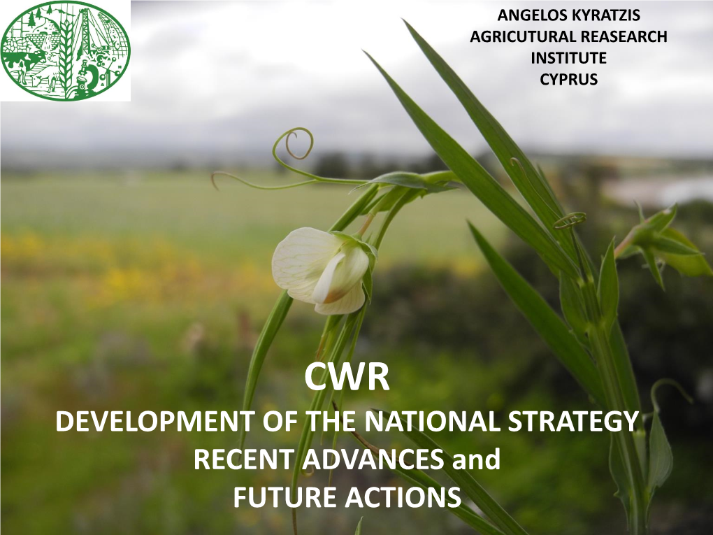 DEVELOPMENT of the NATIONAL STRATEGY RECENT ADVANCES and FUTURE ACTIONS