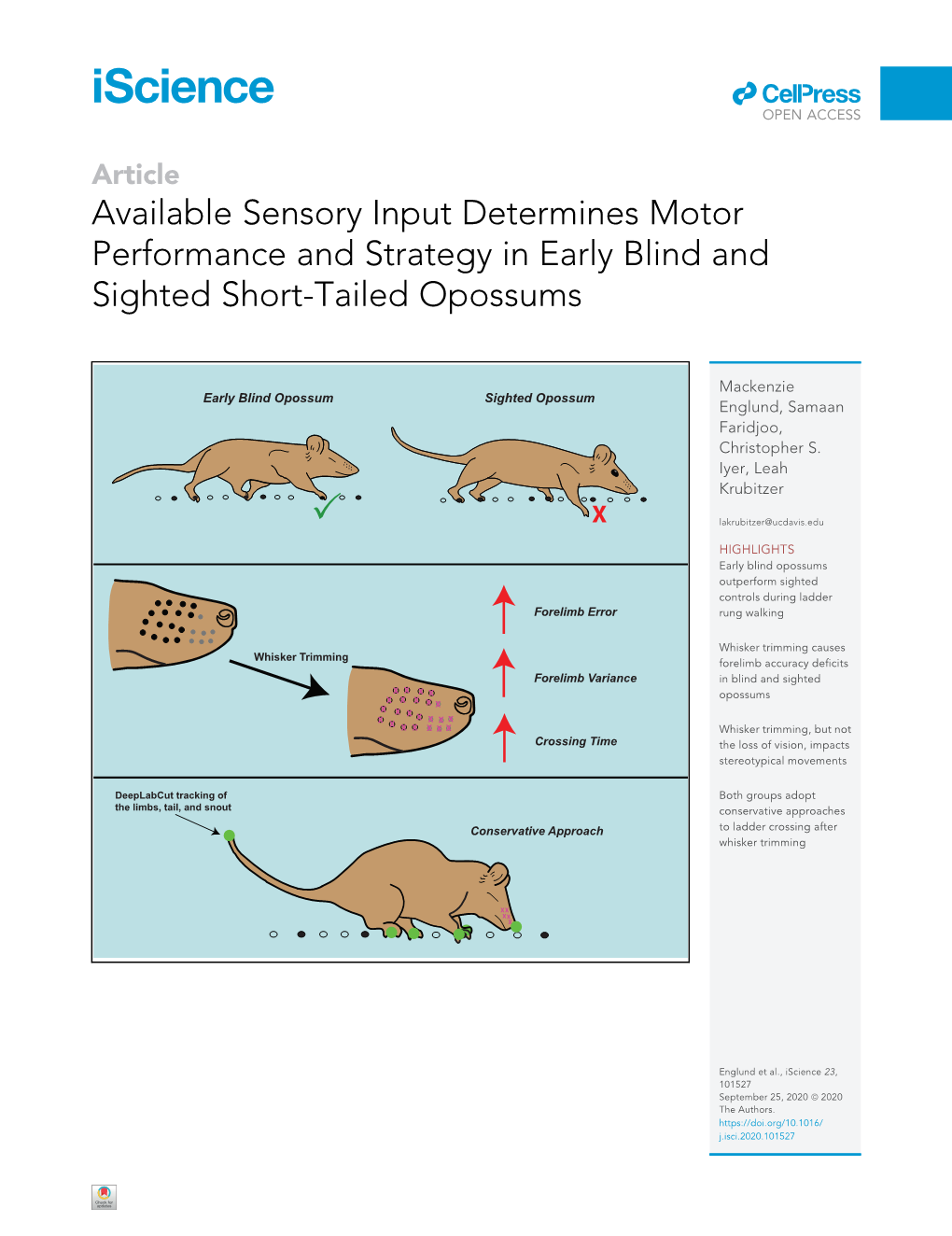 Available Sensory Input Determines Motor Performance and Strategy in Early Blind and Sighted Short-Tailed Opossums