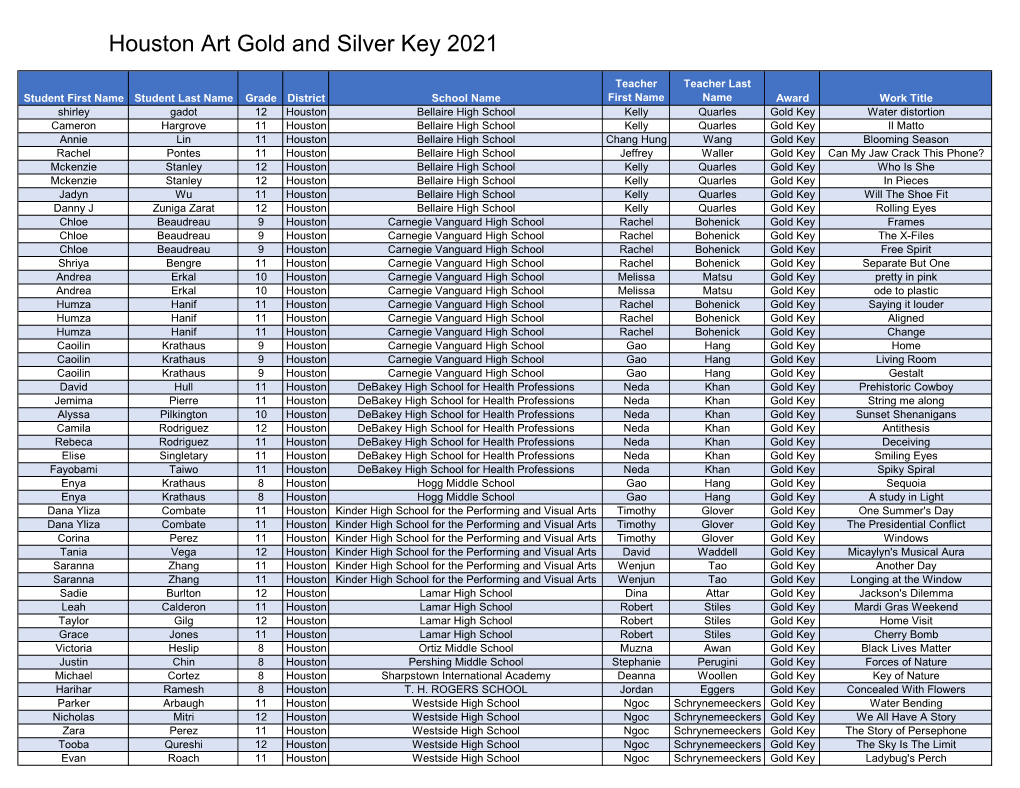 Houston Art Gold and Silver Key 2021