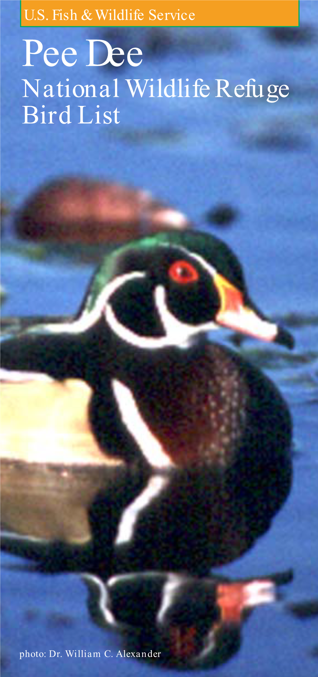 Pee Dee National Wildlife Refuge Bird List