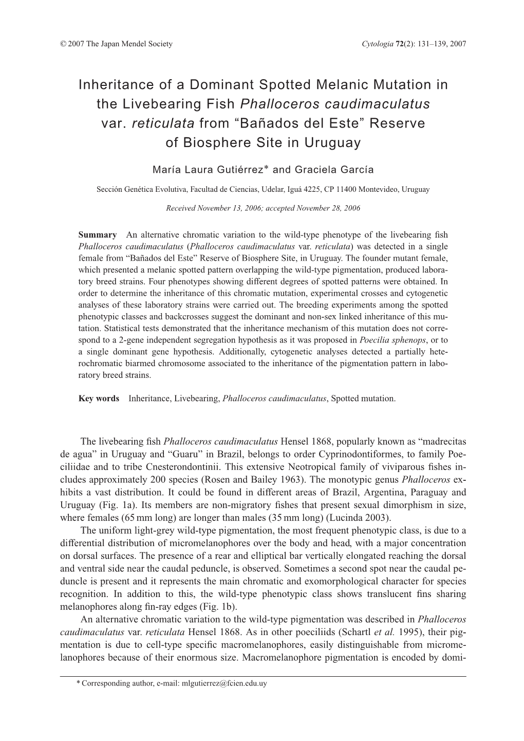 Inheritance of a Dominant Spotted Melanic Mutation in the Livebearing Fish Phalloceros Caudimaculatus Var