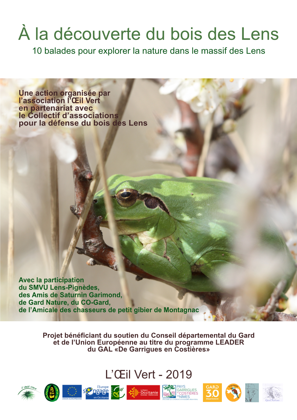 À La Découverte Du Bois Des Lens 10 Balades Pour Explorer La Nature Dans Le Massif Des Lens