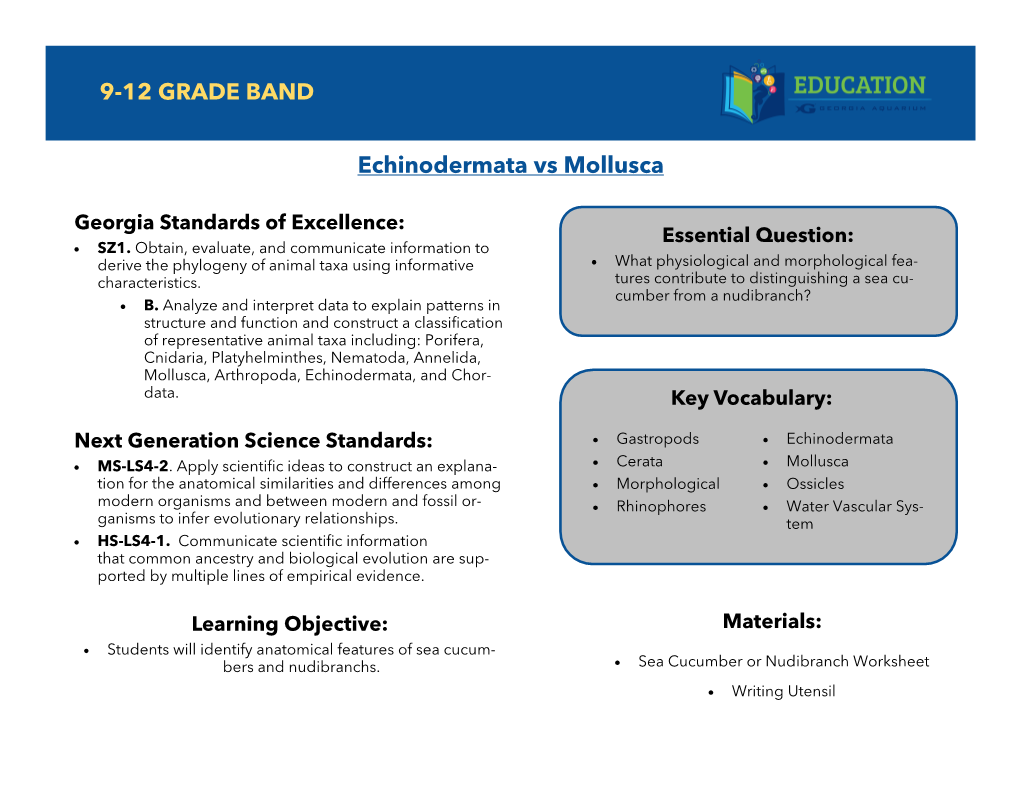 Echinodermata Vs Mollusca