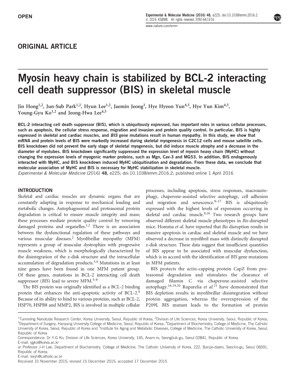 Myosin Heavy Chain Is Stabilized by BCL-2 Interacting Cell Death Suppressor (BIS) in Skeletal Muscle