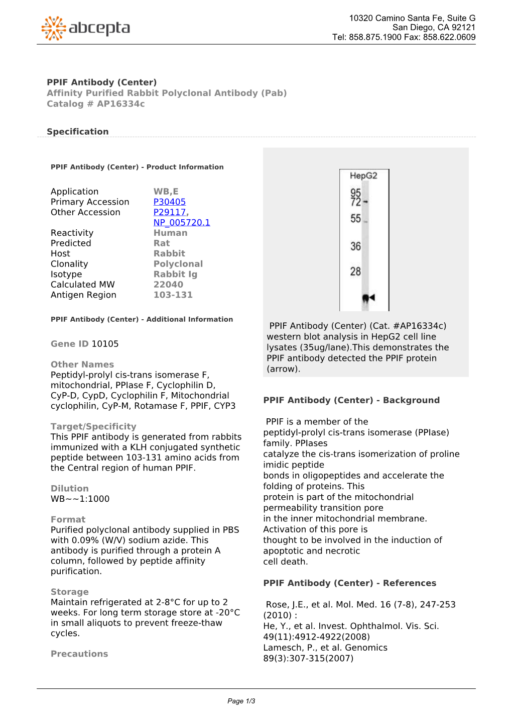 PPIF Antibody (Center) Affinity Purified Rabbit Polyclonal Antibody (Pab) Catalog # Ap16334c