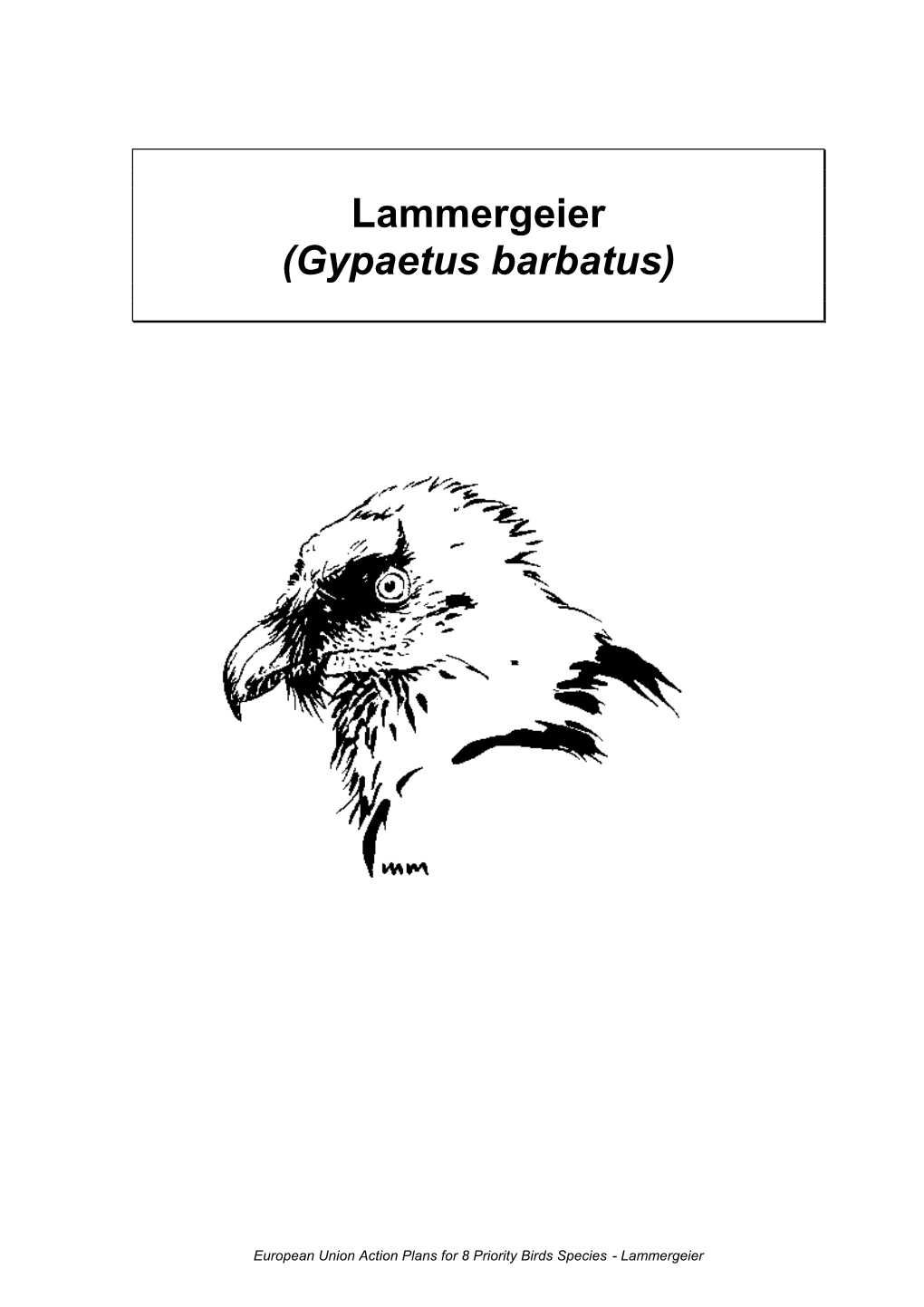 Lammergeie\ R (Gypaetus Barbatus)