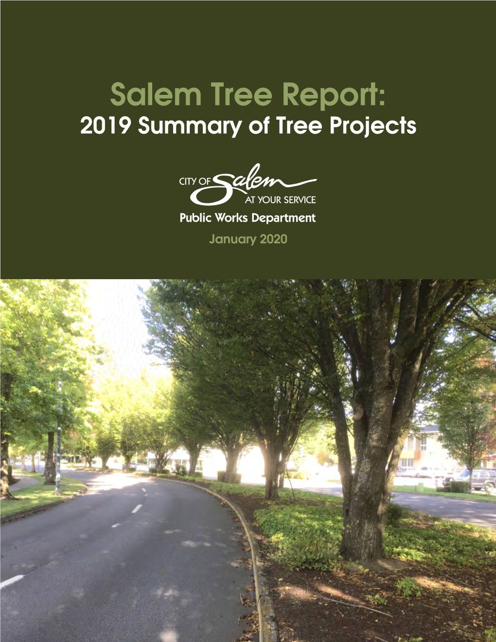 Salem Tree Report: 2019 Summary of Tree Projects