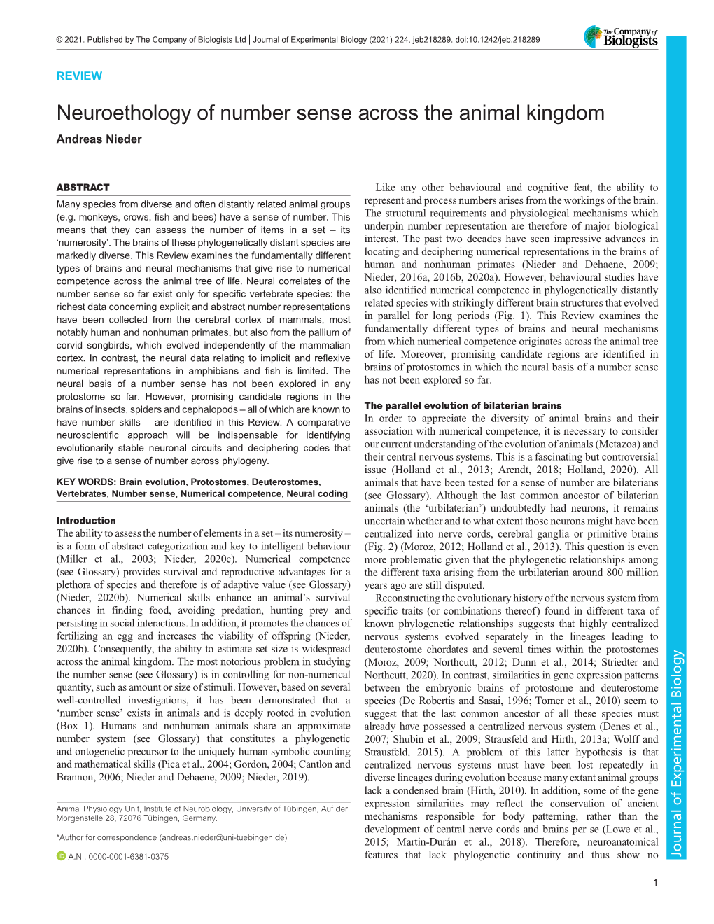 Neuroethology of Number Sense Across the Animal Kingdom Andreas Nieder