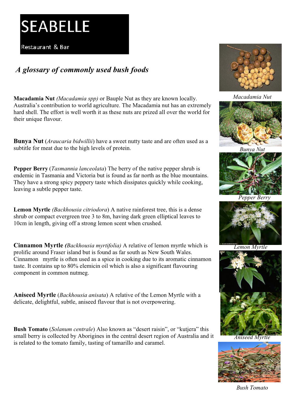 A Glossary of Commonly Used Bush Foods