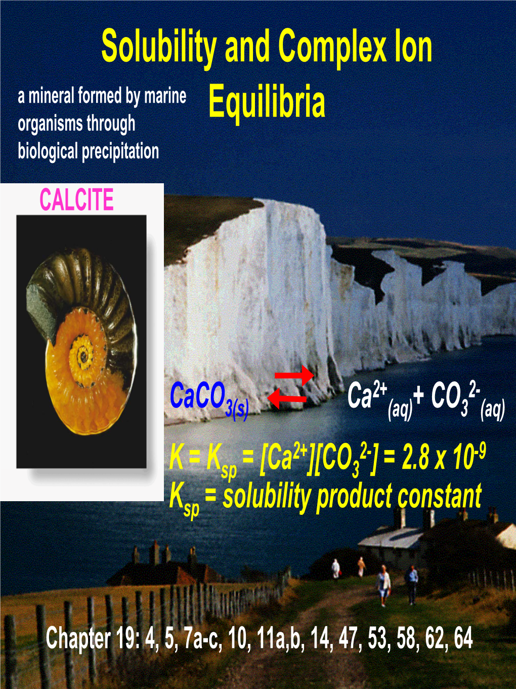 Solubility and Complex Ion Equilibria