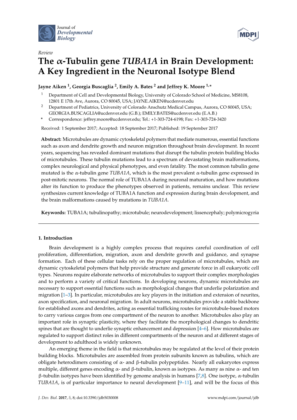 The -Tubulin Gene TUBA1A in Brain Development