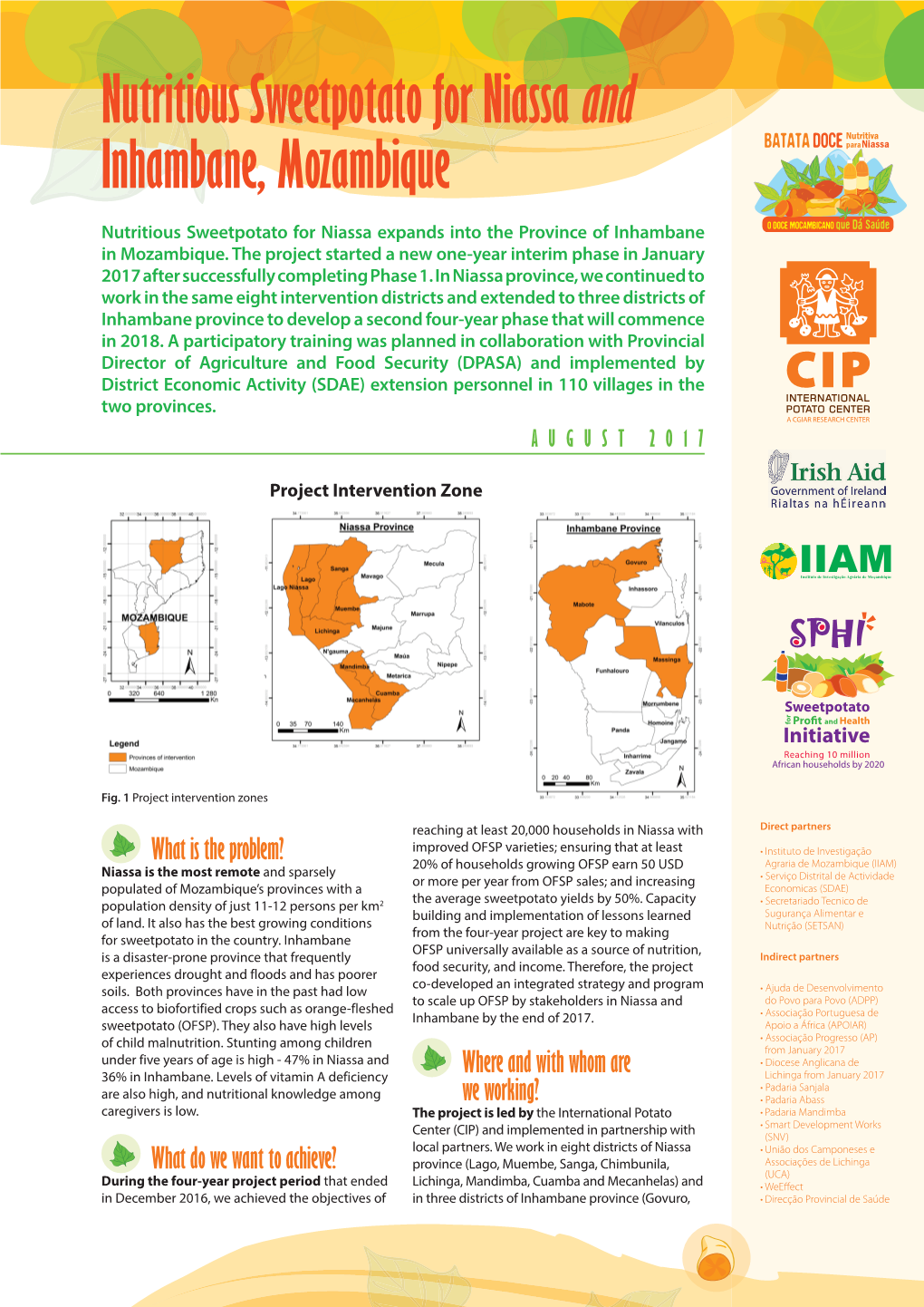 Nutritious Sweetpotato for Niassa and Inhambane, Mozambique