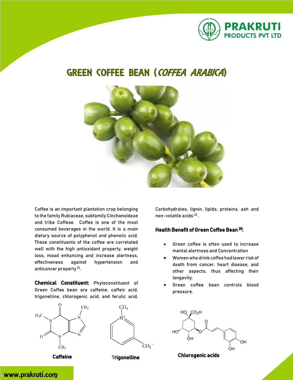 Green Coffee Bean (Coffea Arabica)