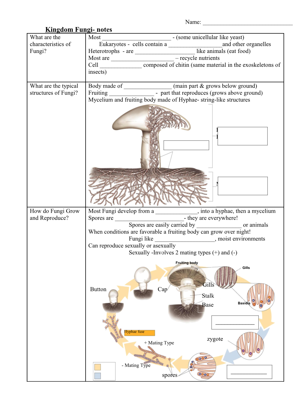 Kingdom Fungi- Notes