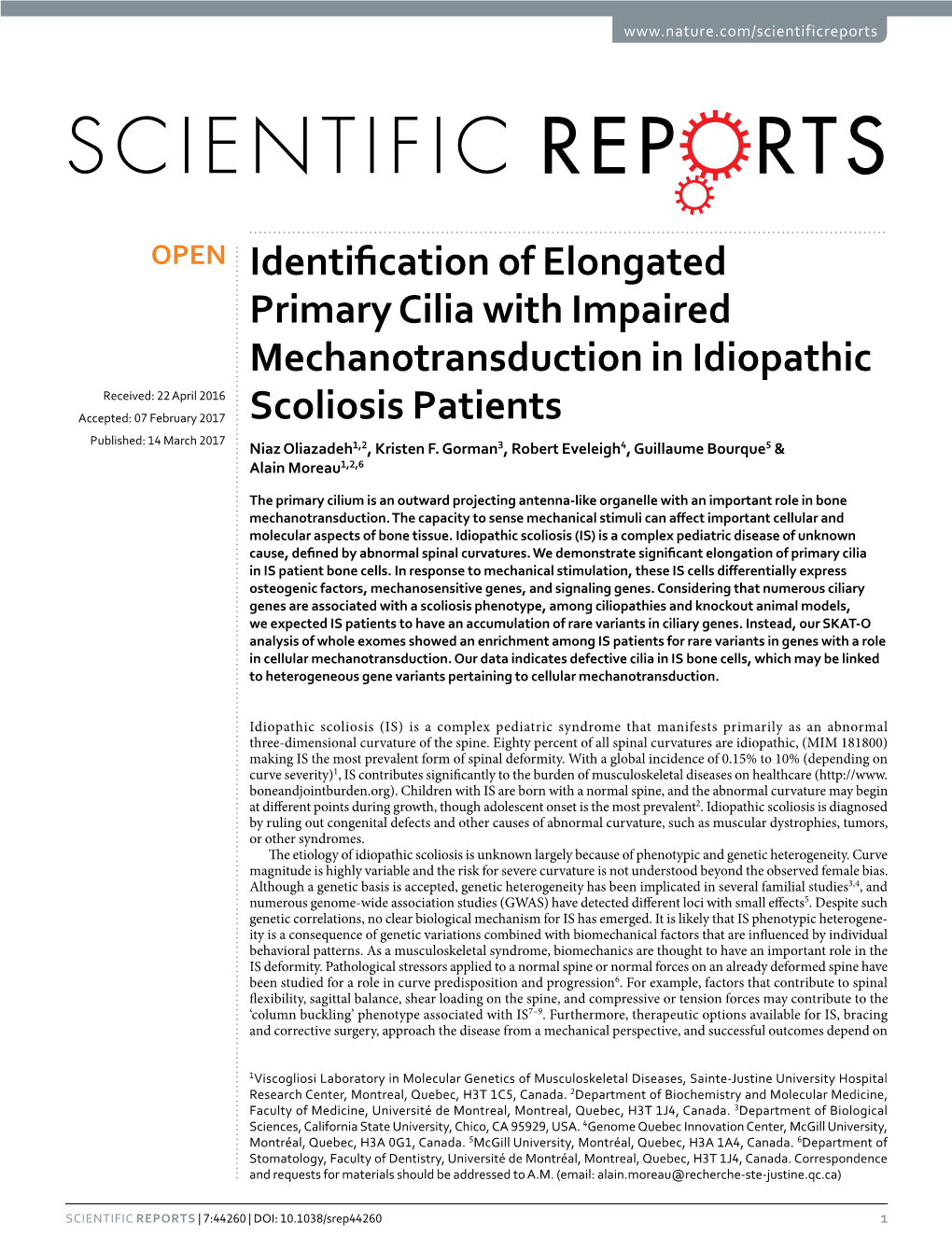 Identification of Elongated Primary Cilia with Impaired Mechanotransduction in Idiopathic Scoliosis Patients