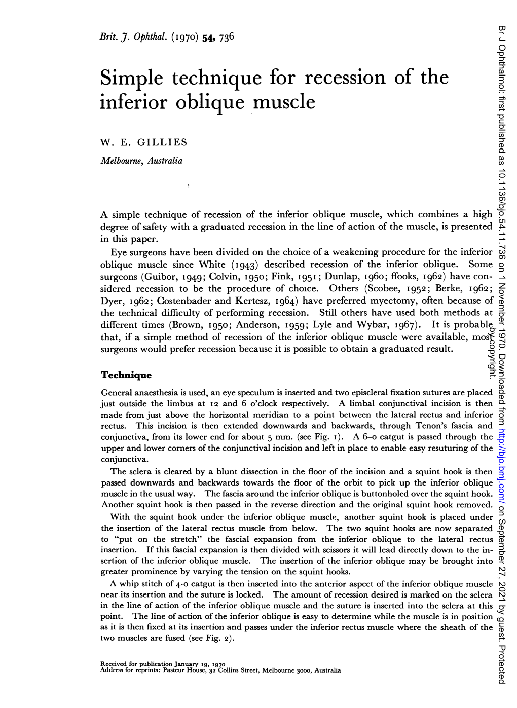 Inferior Oblique Muscle