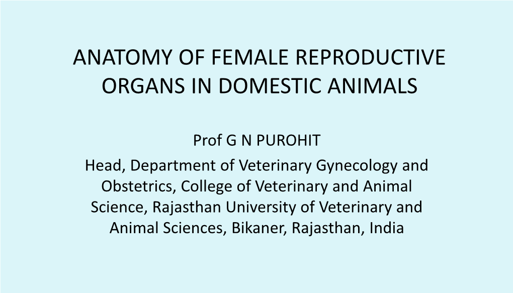 Anatomy of Female Reproductive Organs in Domestic Animals