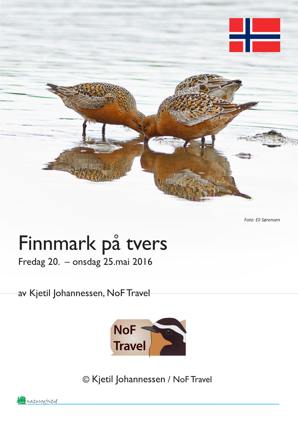 Finnmark På Tvers Fredag 20