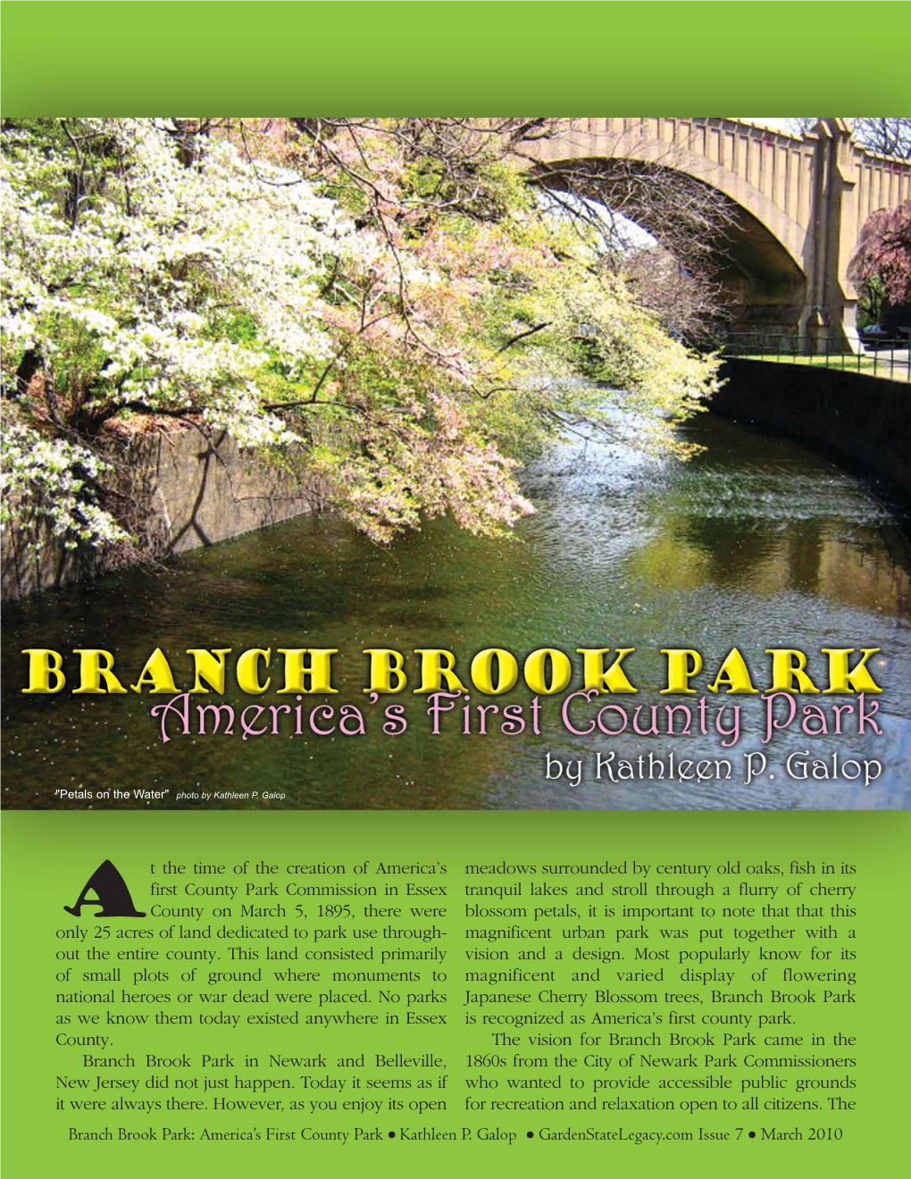 Branch Brook.Qxd