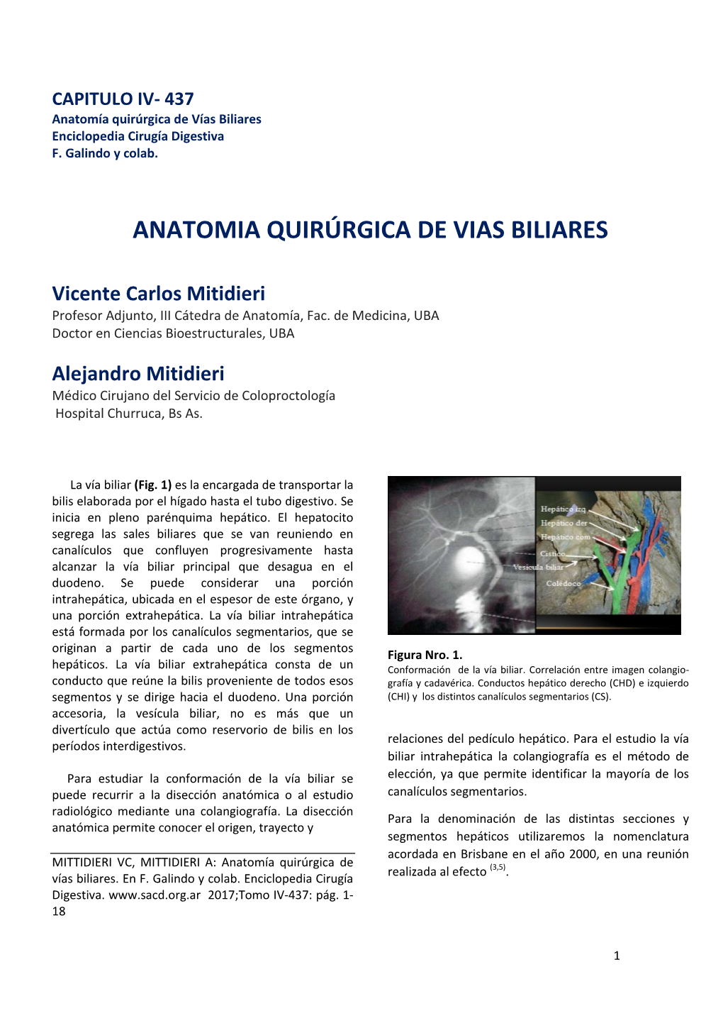 Anatomia Quirurgica De Las Vias Biliares