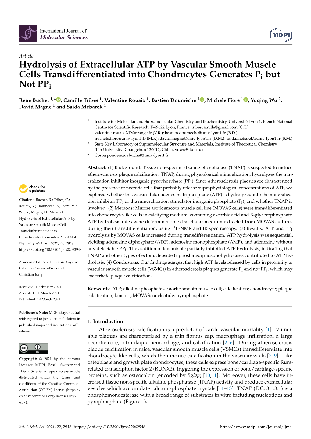 Hydrolysis of Extracellular ATP by Vascular Smooth Muscle Cells Transdifferentiated Into Chondrocytes Generates Pi but Not Ppi