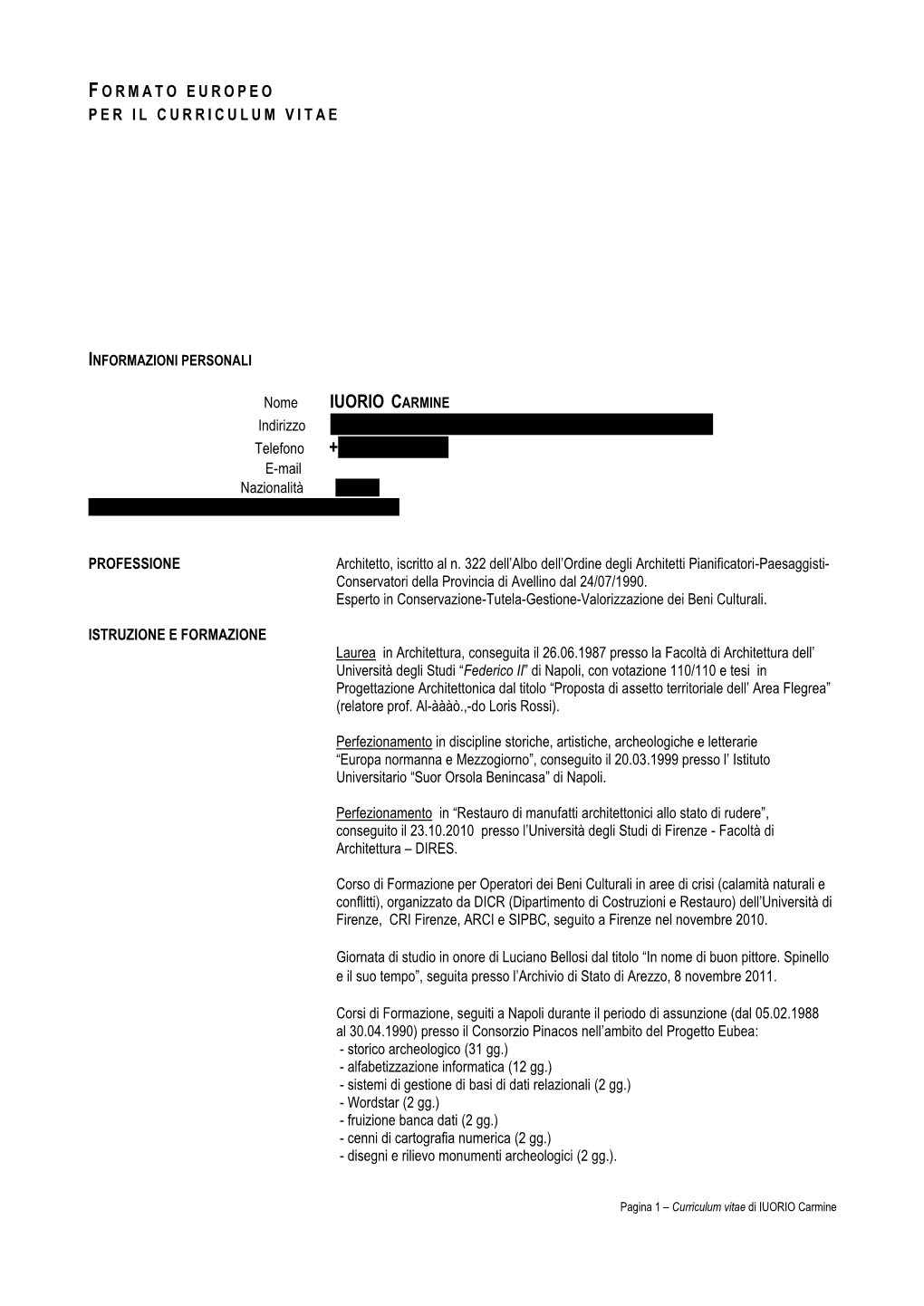 Curriculum Vitae.Pdf