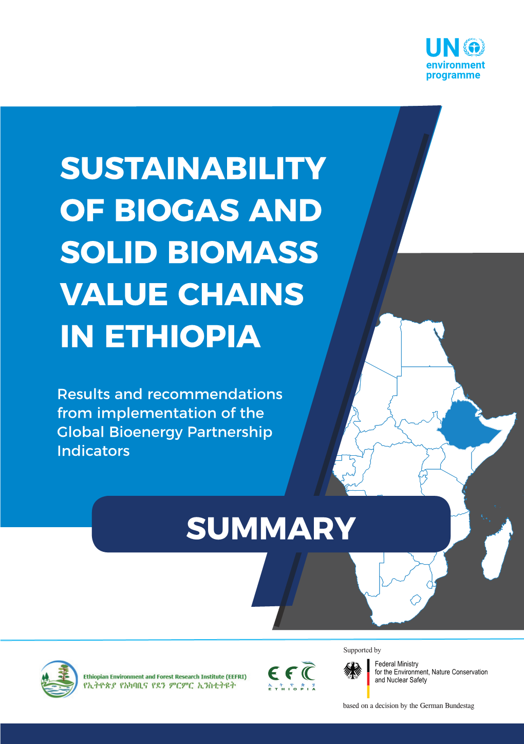 Sustainability of Biogas and Solid Biomass Value Chains in Ethiopia