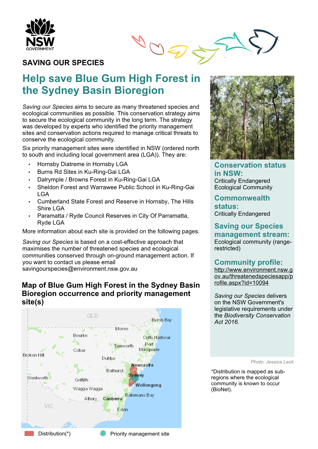 Blue Gum High Forest in the Sydney Basin Bioregion Draft Strategy