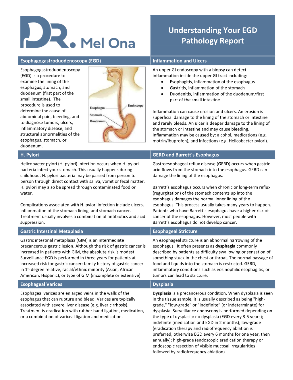 Understanding Your EGD Pathology Report