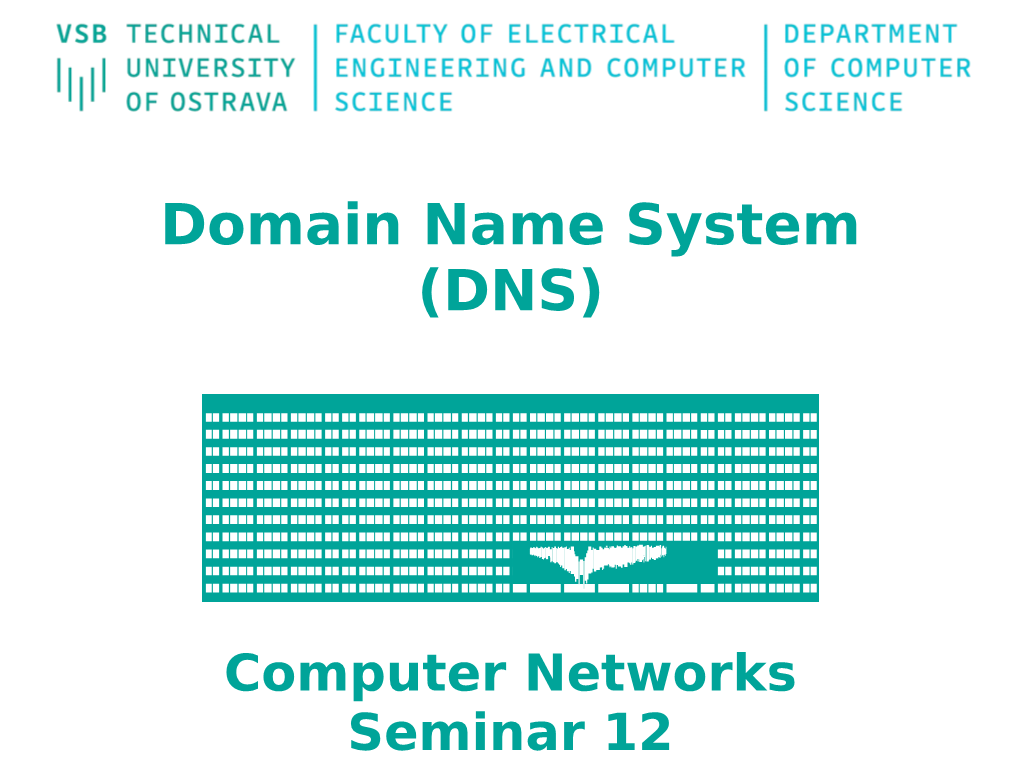 Domain Name System (DNS)