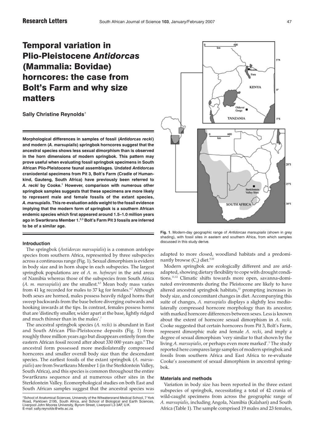 Temporal Variation in Plio-Pleistocene Antidorcas (Mammalia: Bovidae) Horncores: the Case from Bolt’S Farm and Why Size Matters