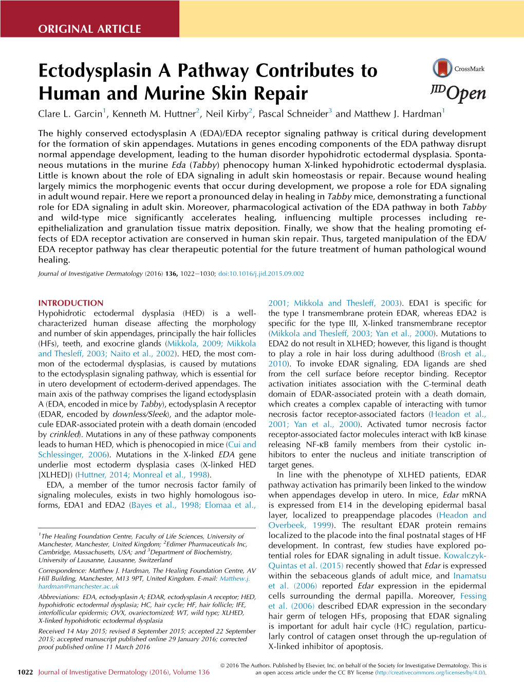 Ectodysplasin a Pathway Contributes to Human and Murine Skin Repair Clare L