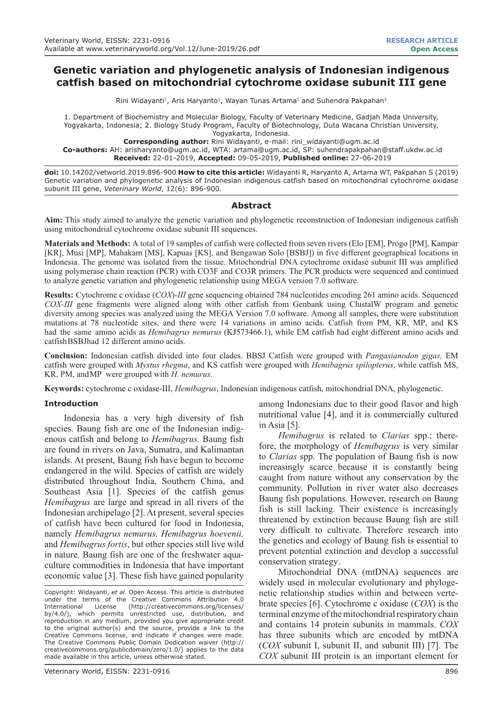 Genetic Variation and Phylogenetic Analysis of Indonesian Indigenous Catfish Based on Mitochondrial Cytochrome Oxidase Subunit III Gene