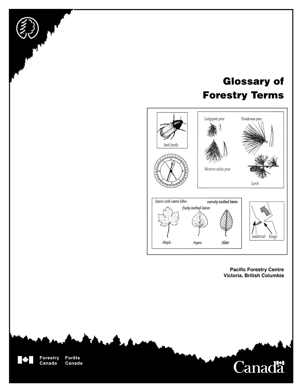 Glossary of Forestry Terms