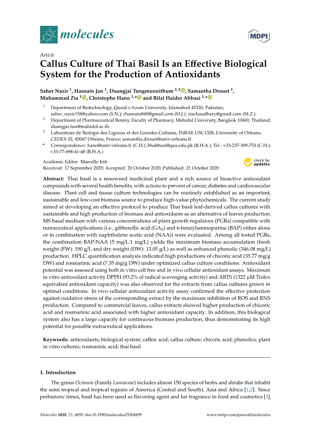 Callus Culture of Thai Basil Is an Effective Biological System for the Production of Antioxidants