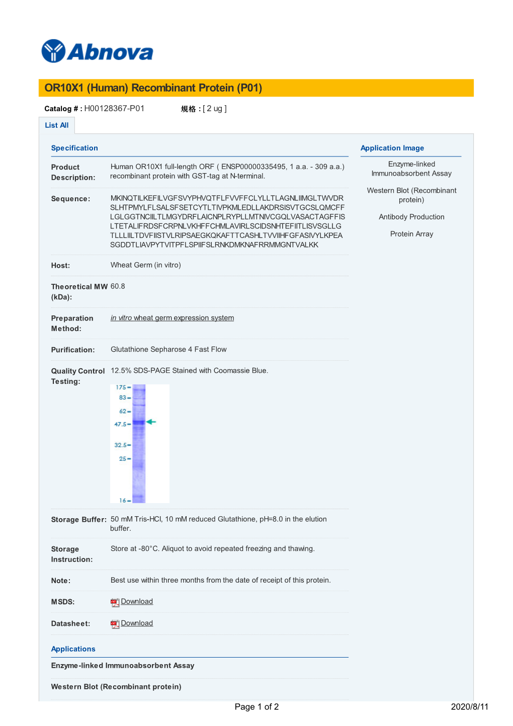 OR10X1 (Human) Recombinant Protein (P01)