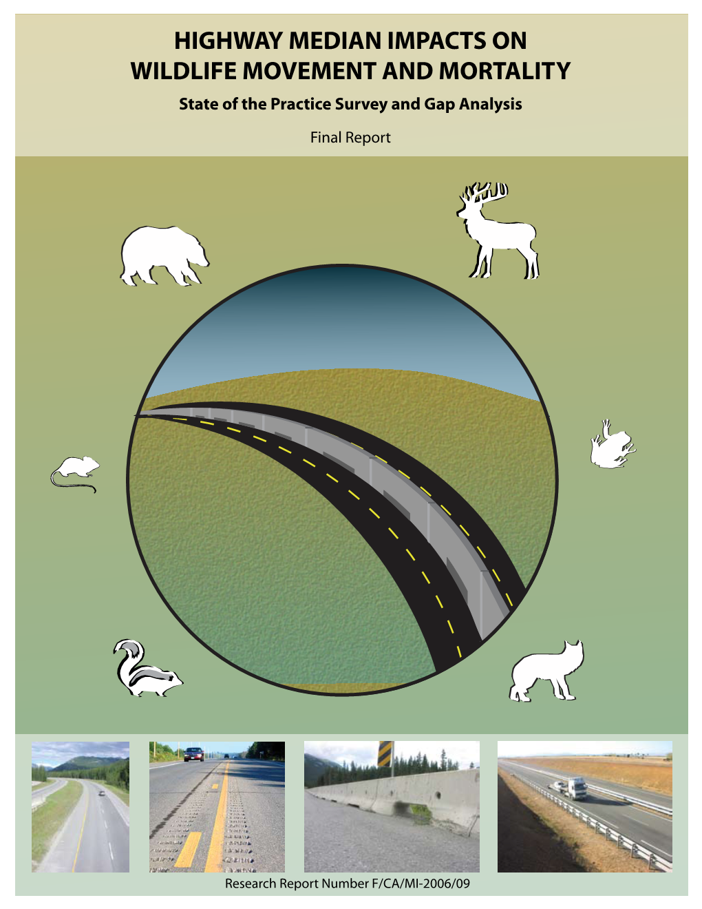 Highway Median Impacts on Wildlife Movement and Mortality: State of the Practice Survey and Gap Analysis