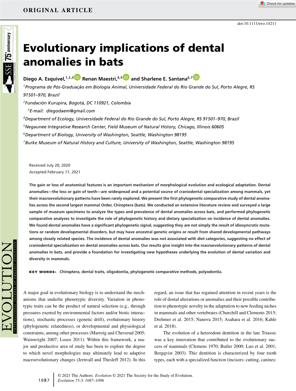 Evolutionary Implications of Dental Anomalies in Bats