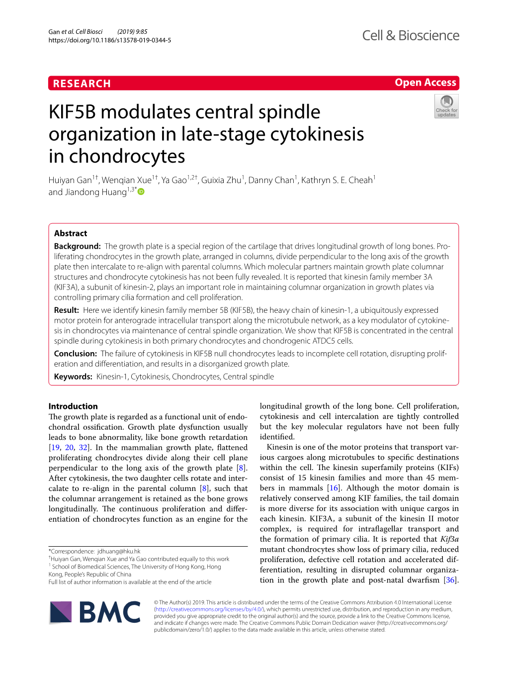 KIF5B Modulates Central Spindle Organization in Late-Stage