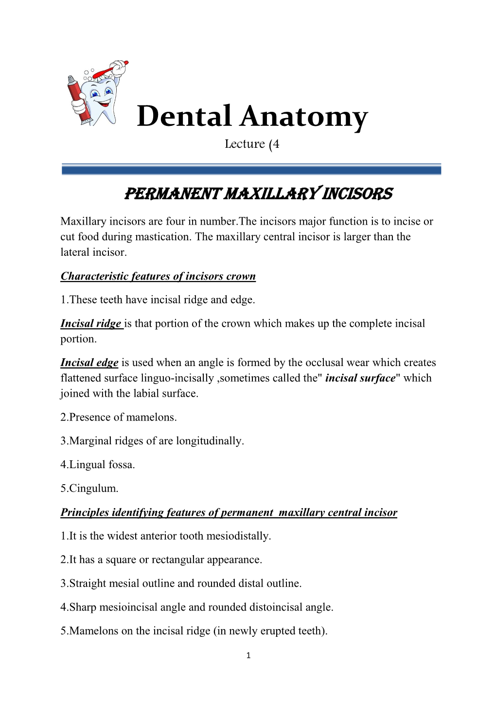 Dental Anatomy Lecture (4