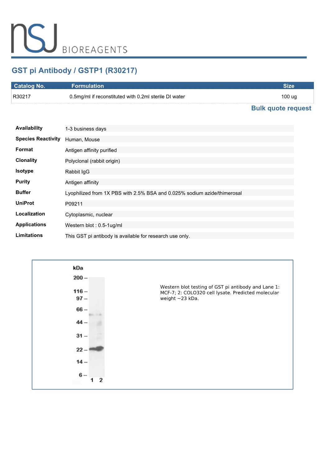 GST Pi Antibody / GSTP1 (R30217)