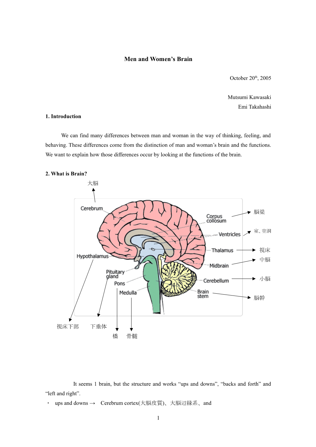 Man and Woman Brain