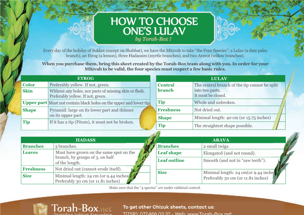 How to Choose One's Lulav