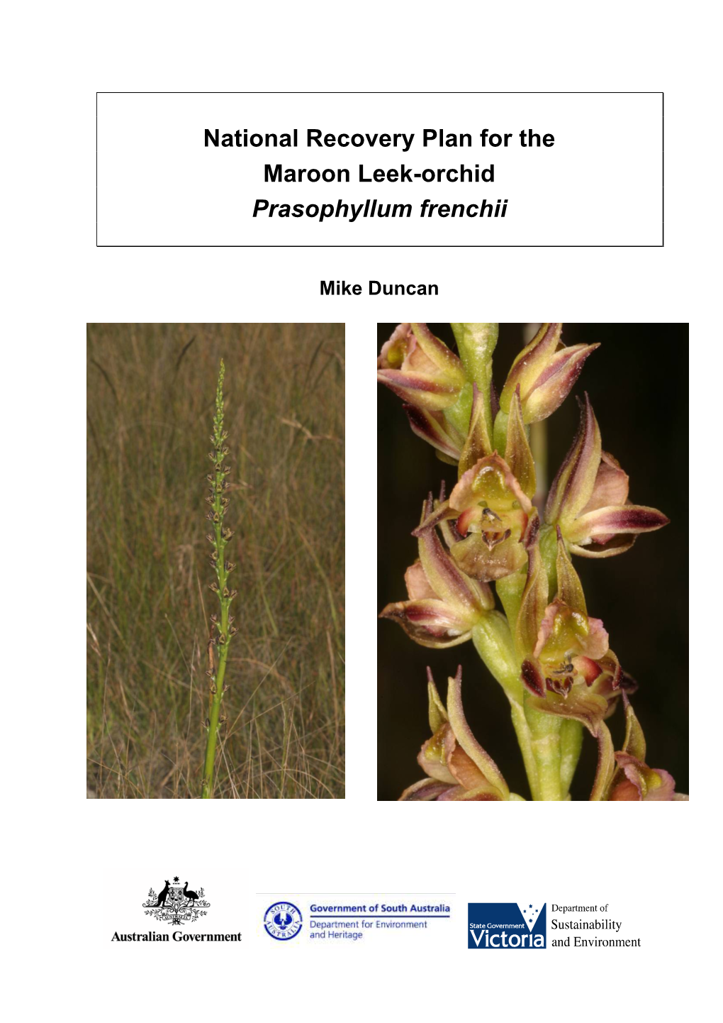 National Recovery Plan for the Maroon Leek-Orchid (Prasophyllum