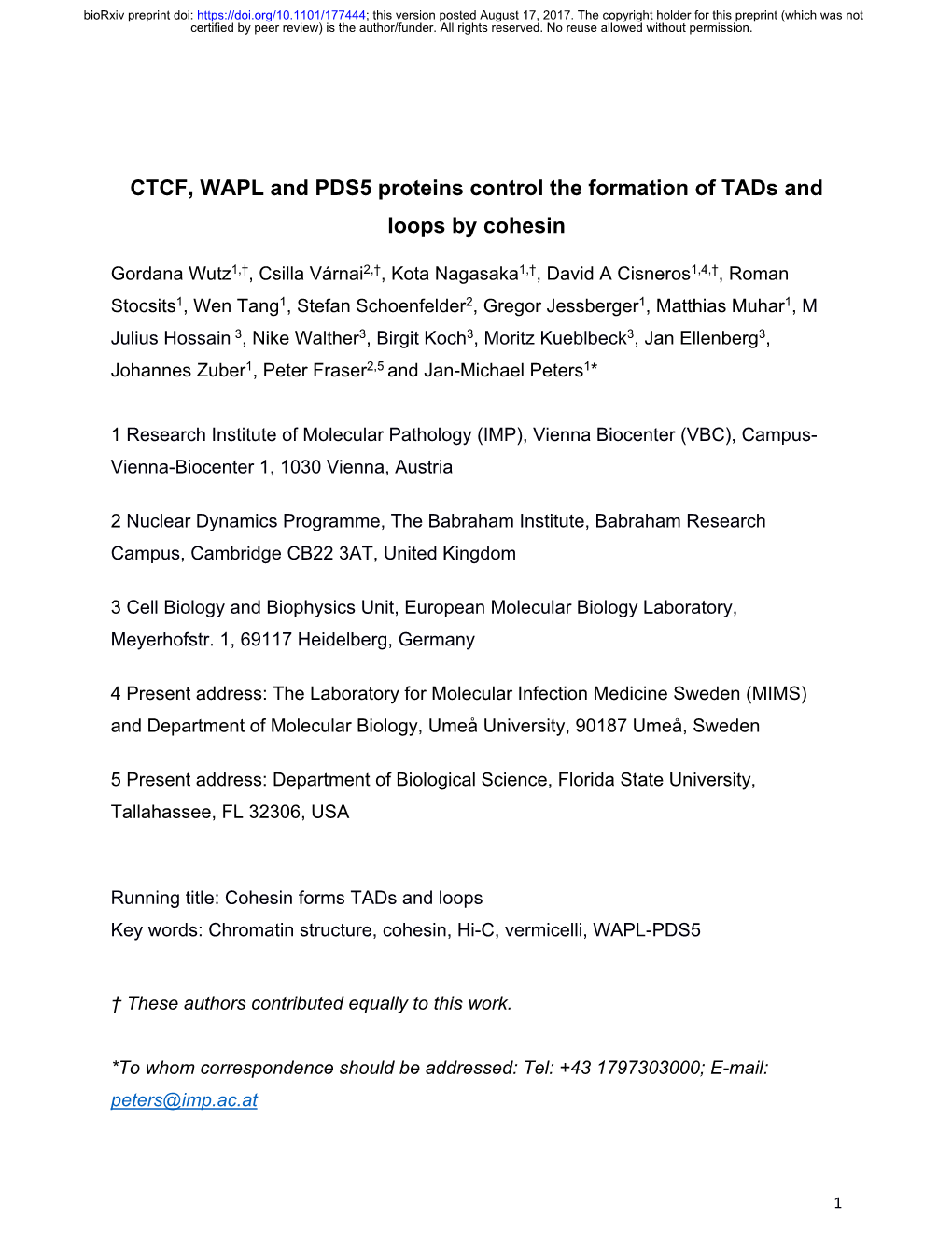 CTCF, WAPL and PDS5 Proteins Control the Formation of Tads and Loops by Cohesin